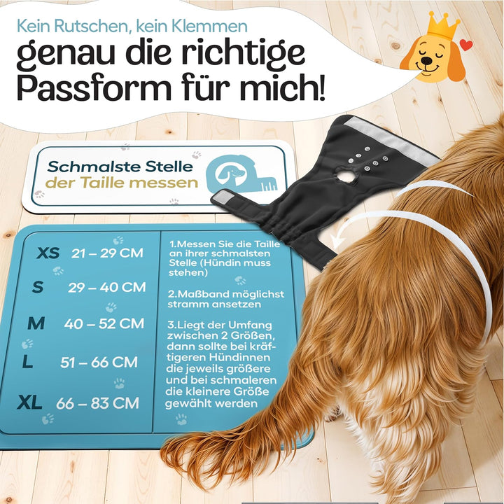 HUND IST KÖNIG Hundewindeln für Hündinnen (3 Stück) - Hochabsorbierende Läufigkeitshose für Hündinne