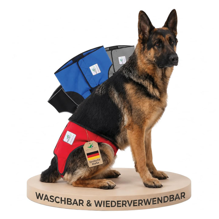 Läufigkeitshose für Hündinnen 2.0 - Hundewindeln aus hochwertigem perforiertem Neopren für einen opt