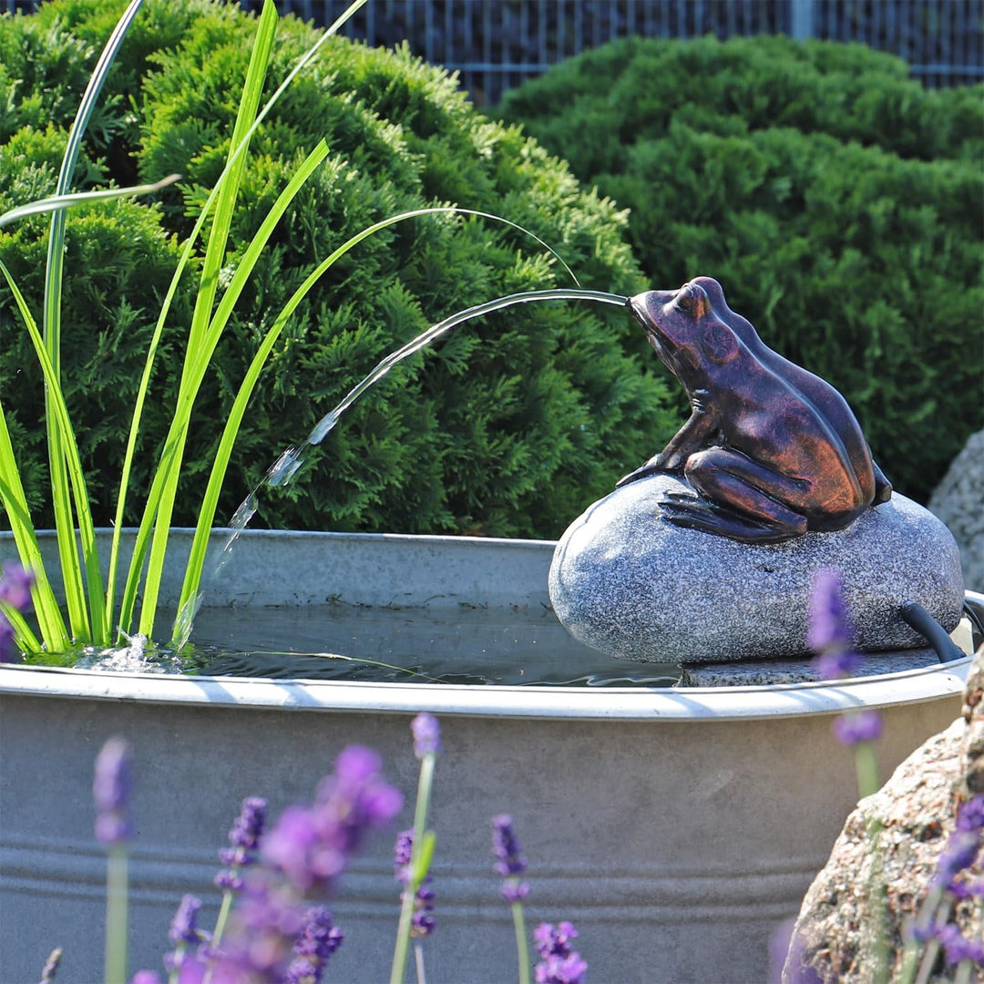Wasserspeier Komplettset Frosch auf einem Stein NSP10E mit strombetriebener 12V Pumpe Springbrunnen