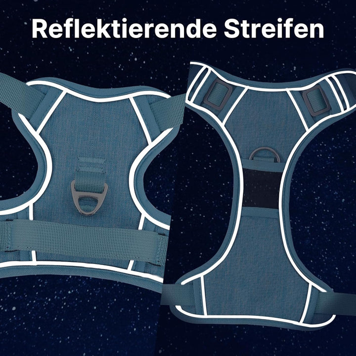 Demigreat Mittleres Hundegeschirr, Anti-Zug-Hundegeschirr mit Weich Gepolstertem Griff für das Train