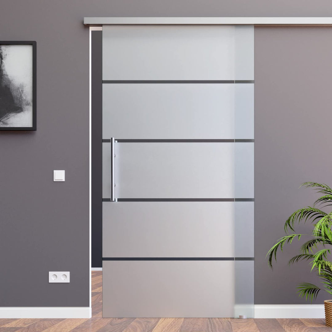 BP1-1025-2-420-ASE: Schiebetürsystem ESG 1025x2175x8mm P1, Siebdruck; Alu Schienensystem SlimLine So