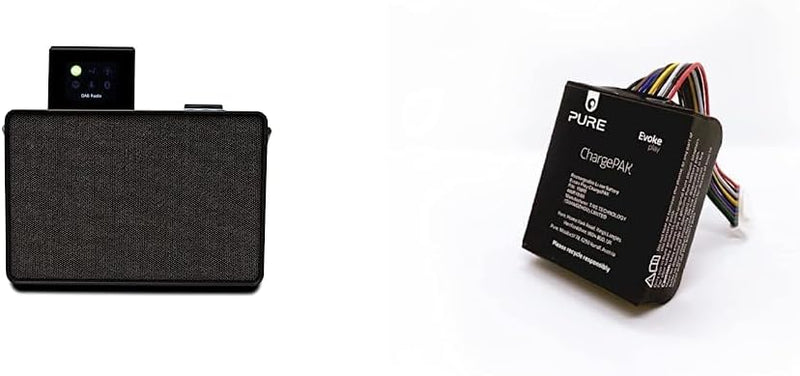 Pure Evoke Play portables Musiksystem für innen und aussen DAB+/UKW Radio & Evoke Play ChargePAK wie