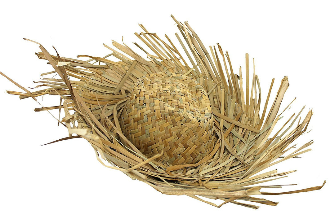 Stroh-Strandkostüm, hawaiianisches Kostüm, ausgefranste Kanten, Junggesellenabschied, Strandparty, g