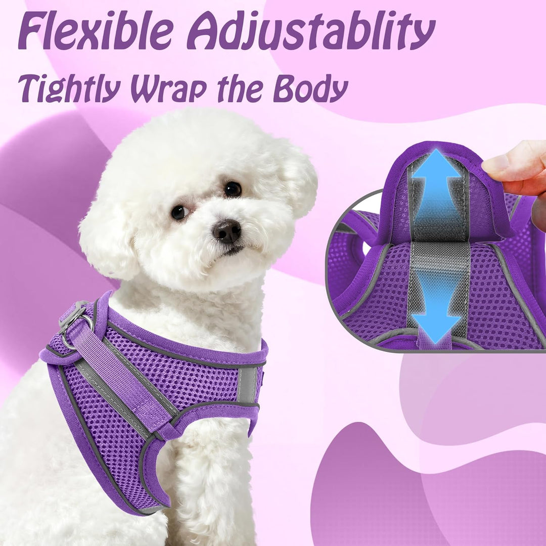 AIITLE Bequemes Hundegeschirr und Leine Set zum Gassi gehen - Step in Vest Harness, Reflektierende B