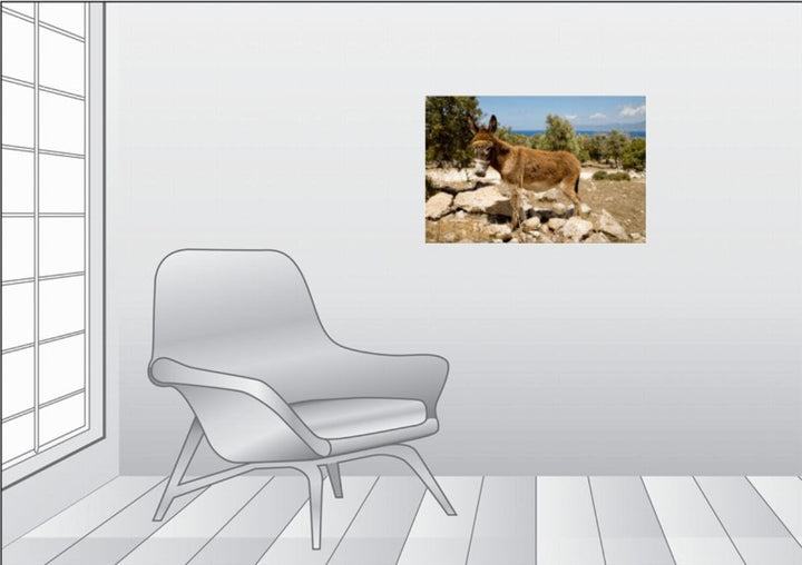 Premium Textil-Leinwand 75 x 50 cm Quer-Format Esel an der Küste in der Nähe von Polis | Wandbild, H