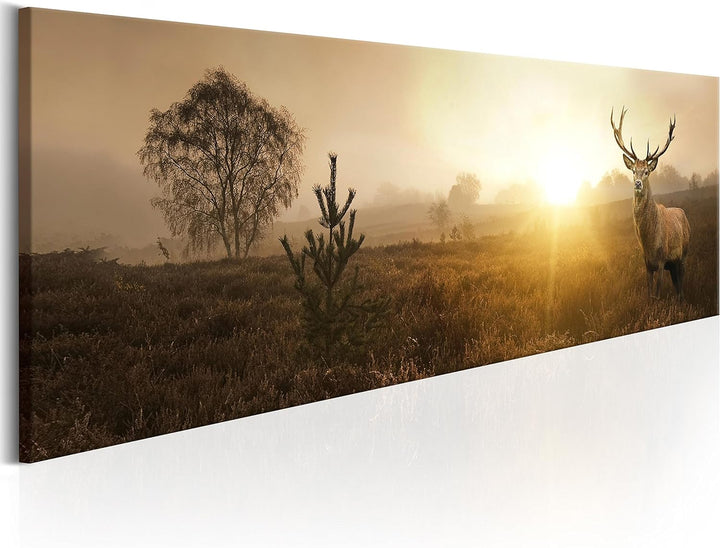 murando - Bilder Hirsch 120x40 cm Vlies Leinwandbild 1 tlg Kunstdruck modern Wandbilder XXL Wanddeko