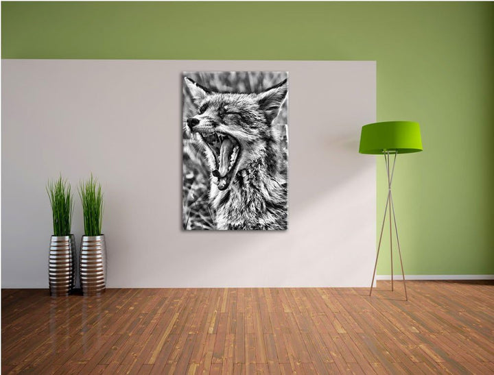 Pixxprint Monocrome, müder Fuchs auf Wildwiese, Format: 100x70 auf Leinwand, riesige Bilder fertig g