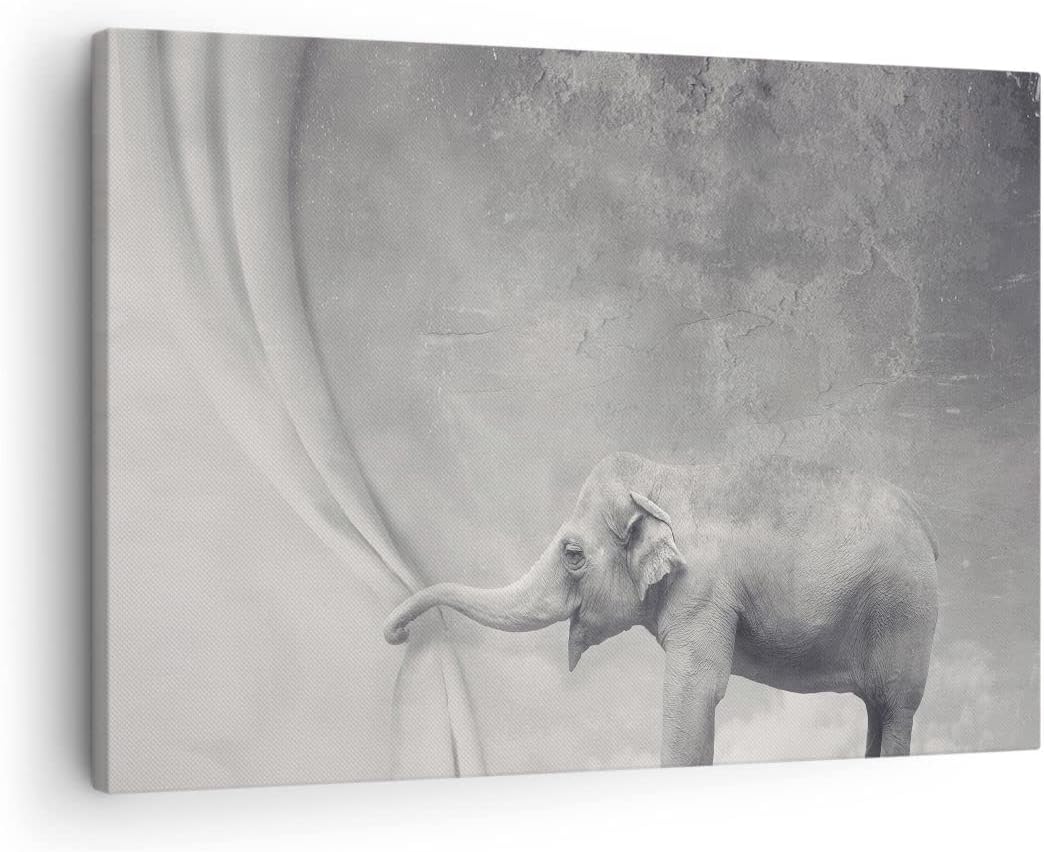 Bilder auf Leinwand Elefant Vorhang Abstraktion Phantasie Leinwandbild 70x50cm Wandbilder Dekoration