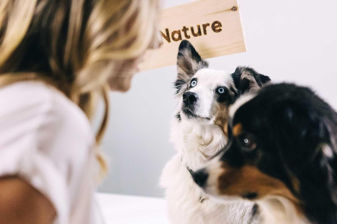RAW Nature Trockenfutter Adult | Natürlich Kaltgepresst | Getreidefreies Hundefutter | Vollwertkost