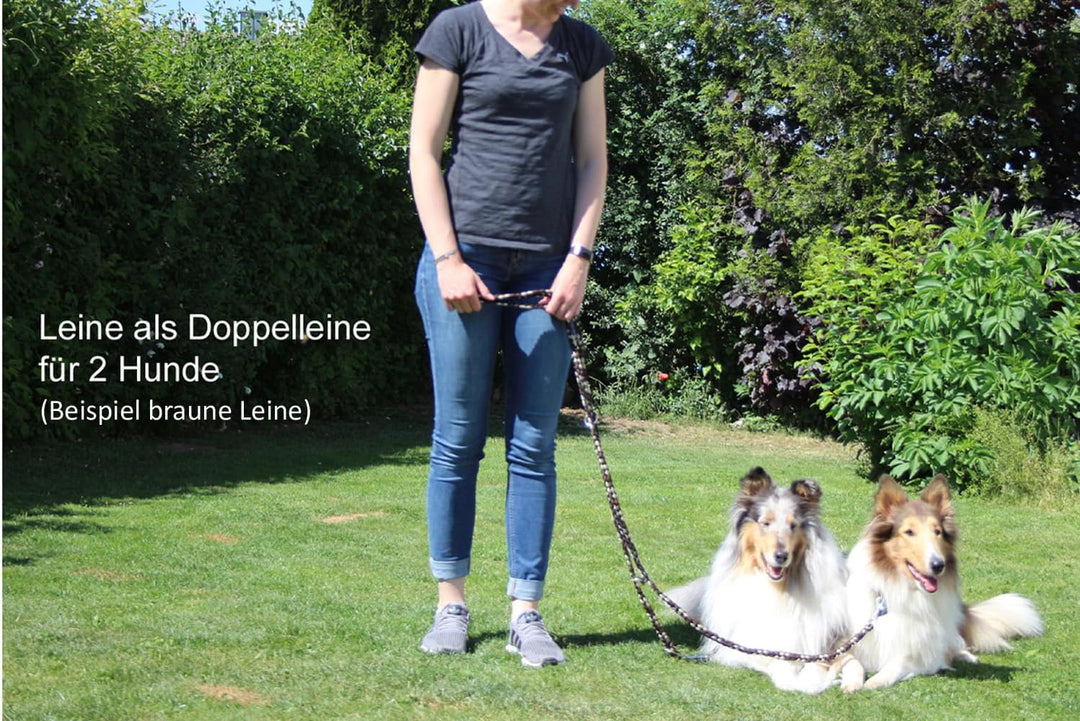 Activity4Dogs Geflochtene Hundeleine für grosse Hunde bis 60 kg | 4-Fach verstellbare Führleine | 2,