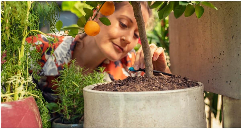 Gardena Start Set Pflanzflächen: Micro-Drip-Gartenbewässerungssystem zur individuellen, flexiblen Be