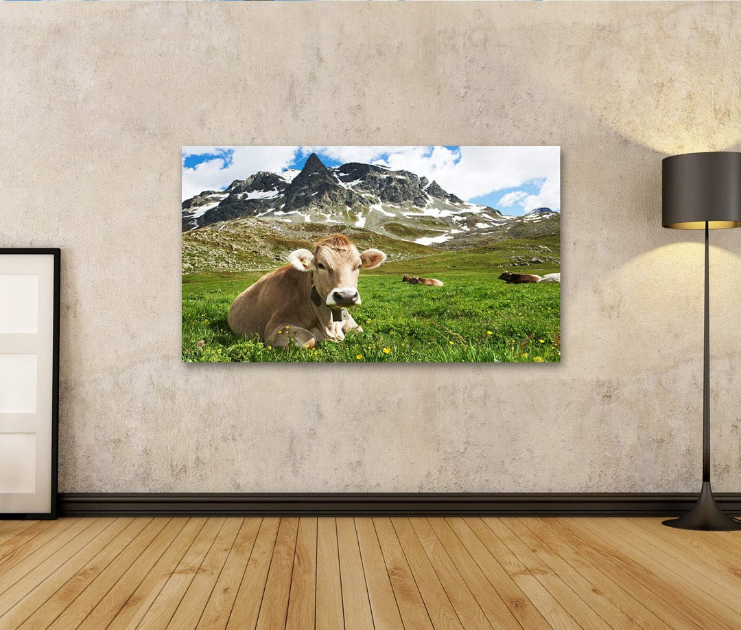 islandburner Bild auf Leinwand Milck Kuh Mit Beweidung Auf Schweiz Alpine Berge Grünem Gras Weide Üb