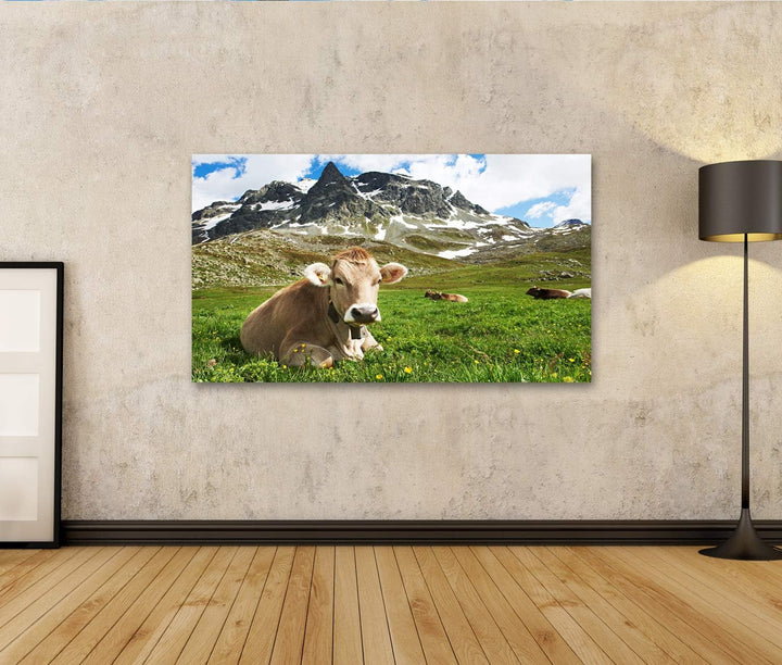 islandburner Bild auf Leinwand Milck Kuh Mit Beweidung Auf Schweiz Alpine Berge Grünem Gras Weide Üb