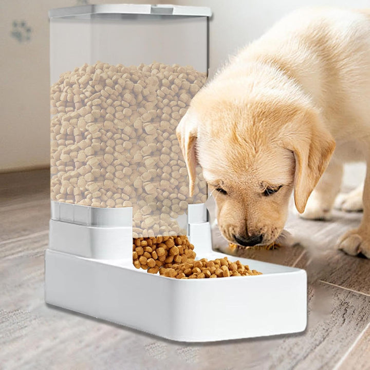Automatisches Futter- Und Wasserspender Für Hunde, Katzen - Automatischer Futterspender Katze | Ohne