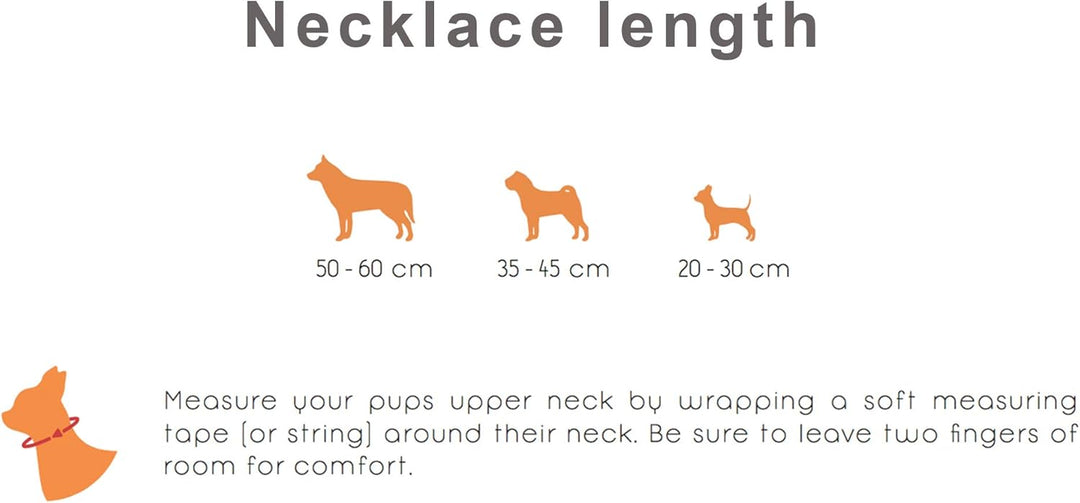 amber-us Bernsteinkette für Hunde aus Roh Baltischer Bernstein mit türkis verziert | Zeckenhalsband