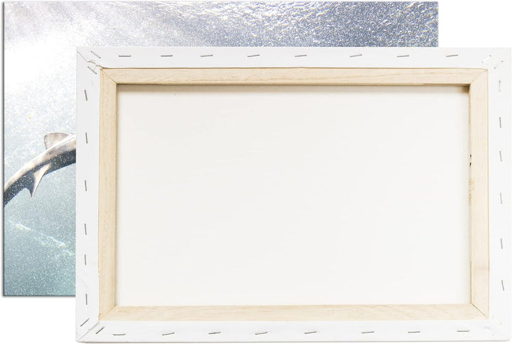 deyoli grosser Hai im Aquarium im Format: 60x40 als Leinwandbild, Motiv fertig gerahmt auf Echtholzr