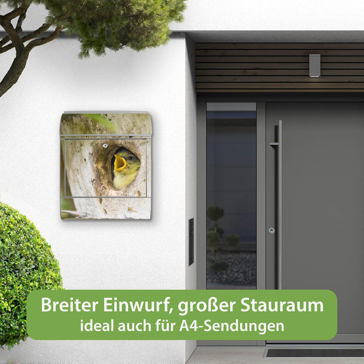 banjado® Design Briefkasten mit Motiv Blaumeise 39x47x14cm &amp; 2 Schlüssel - Briefkasten Stahl Silber