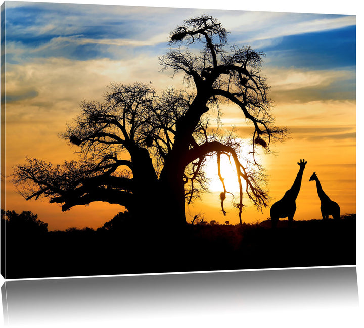 Pixxprint Zwei Giraffen in der Wüste als Leinwandbild/Grösse: 100x70 cm/Wandbild/Kunstdruck/fertig b