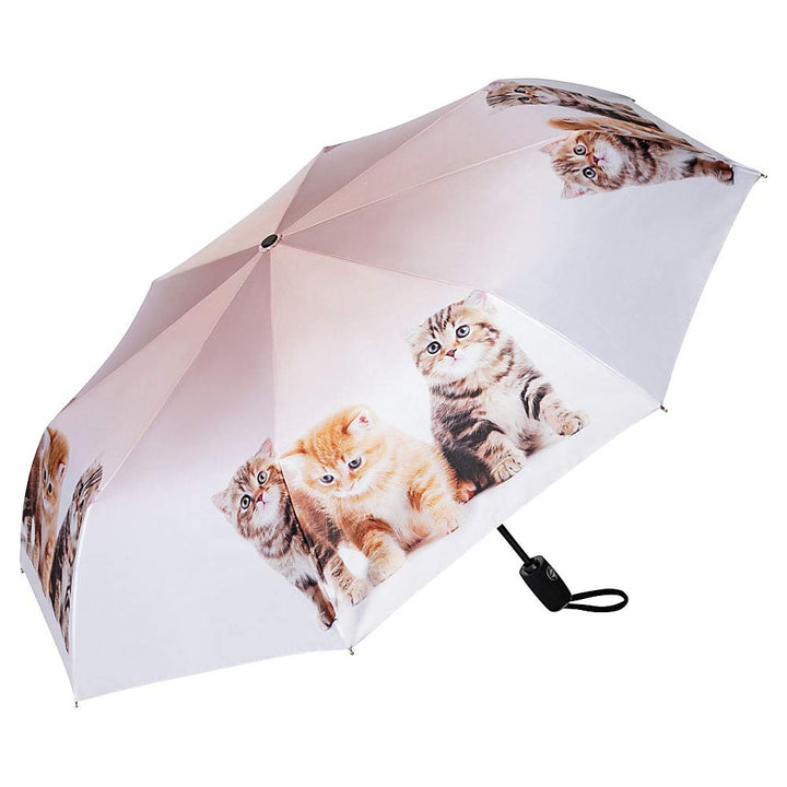 VON LILIENFELD Regenschirm Taschenschirm Katzen Trio Windfest Auf-Zu-Automatik Kätzchen Kinderschirm