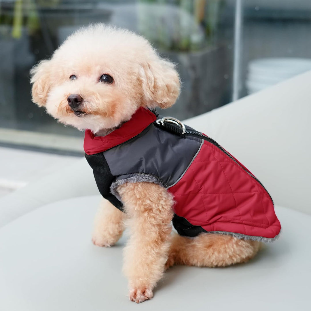 JoyDaog Warmer Fleece-Hundemantel für kleine Hunde, D-Ringe, wasserdichte Welpenjacke für den kalten