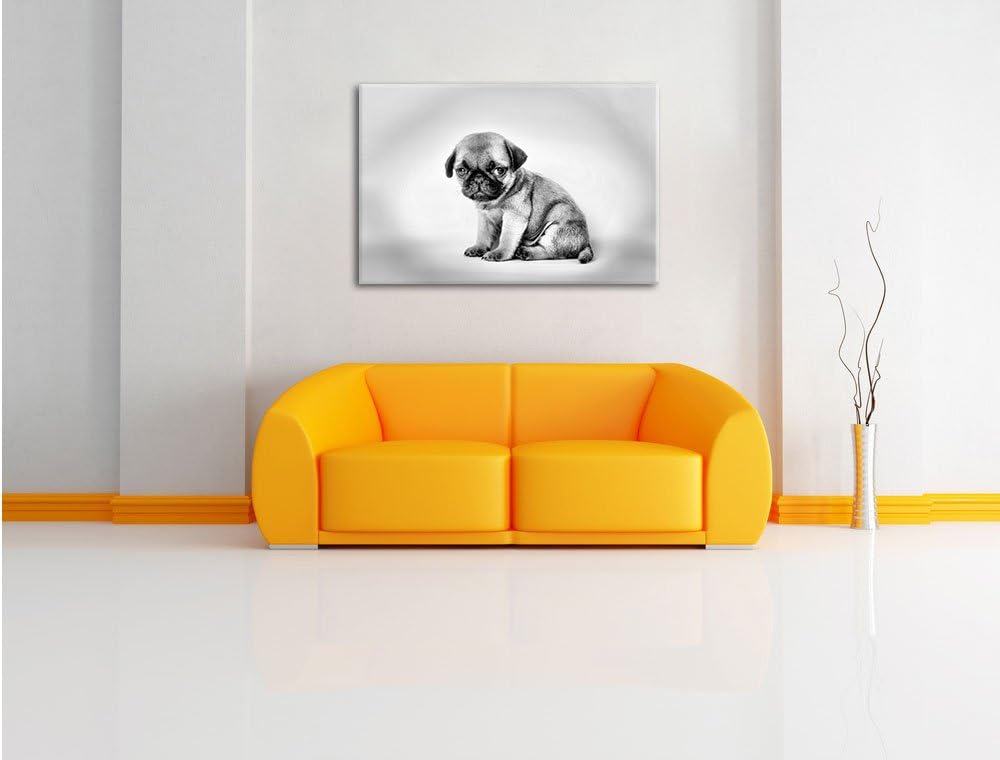 Pixxprint Kleiner Hundewelpe Mops als Leinwandbild/Grösse: 100x70 cm/Wandbild/Kunstdruck/fertig besp