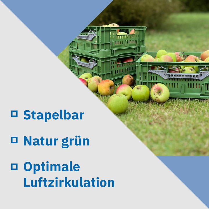 DIE BOX FABRIK Gemüse/Obstkiste klappbar 600x400x180 mm | Klappbox durchbrochen | Stapelbox für Obst