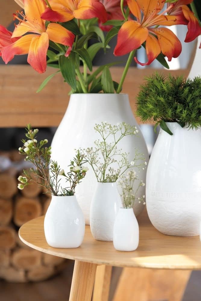 Räder Freiform Minivasen 3er Set