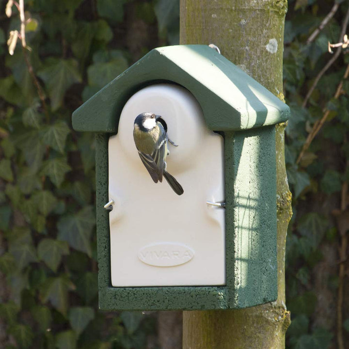 CJ Wildlife Nistkasten – Vogelnistkasten für Meisen mit Marderschutz – Holzbeton Woodstone Grün – Ei