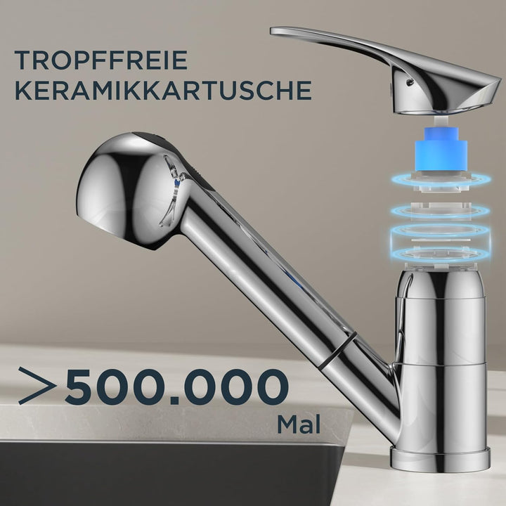 FORIOUS Wasserhahn Küche Polierter Chrom, Edelstahl Spültischarmatur mit Brause, Einhebelmischer Küc
