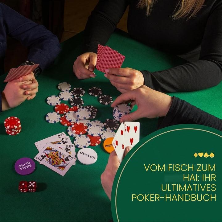 Queensell Pokerkoffer mit 300 Poker Chips für Texas Holdem – Profi Poker Set mit Aluminium Koffer, P