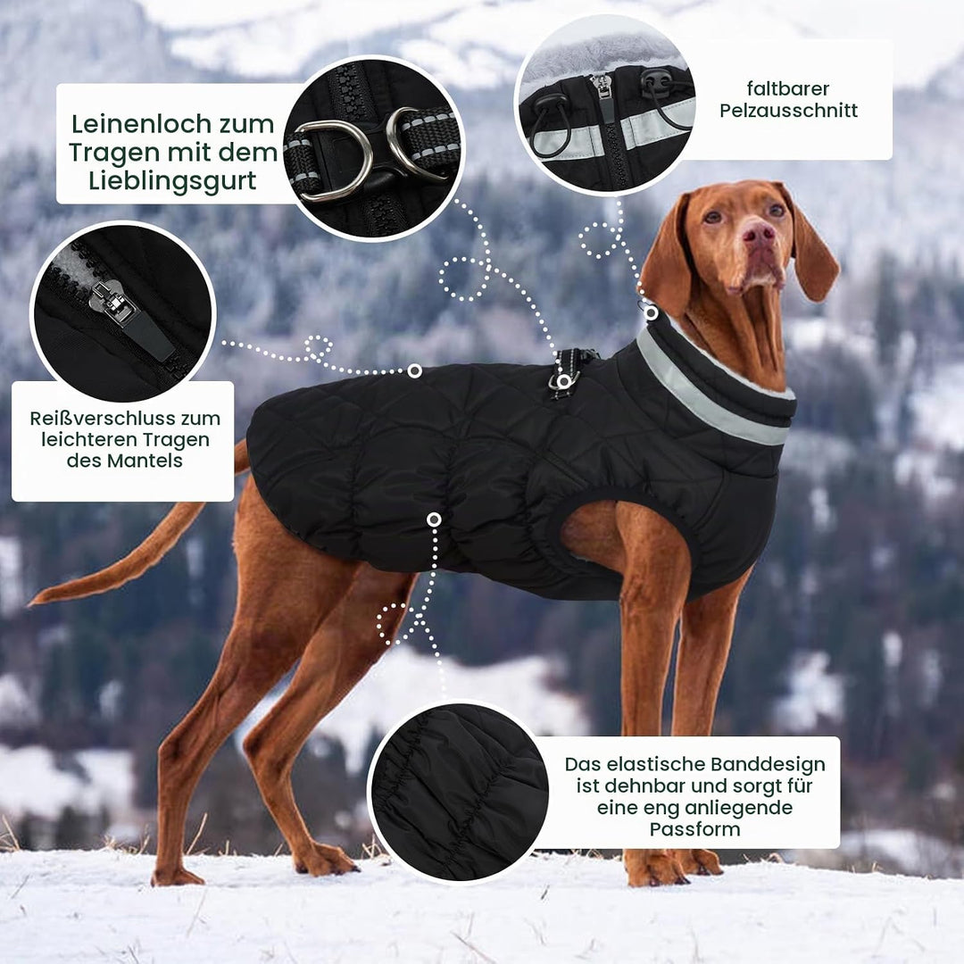 Kuoser Winter Hundejacke für mittelgrosse Hunde, Wasserdichter &amp; Winddichter Hundemantel mit Fleecef