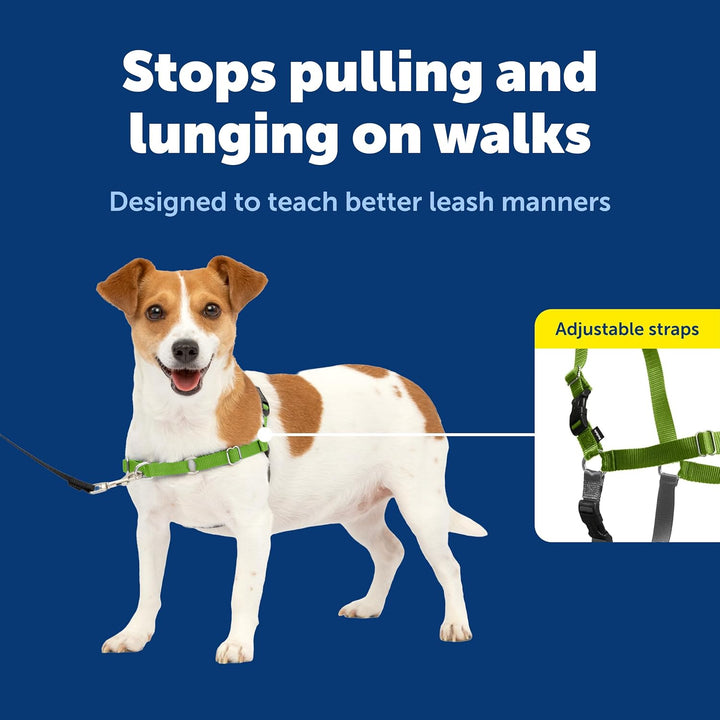 PetSafe Easy Walk Hundegeschirr Apfelgrün/Grau Small, Apfelgrün/Grau Small