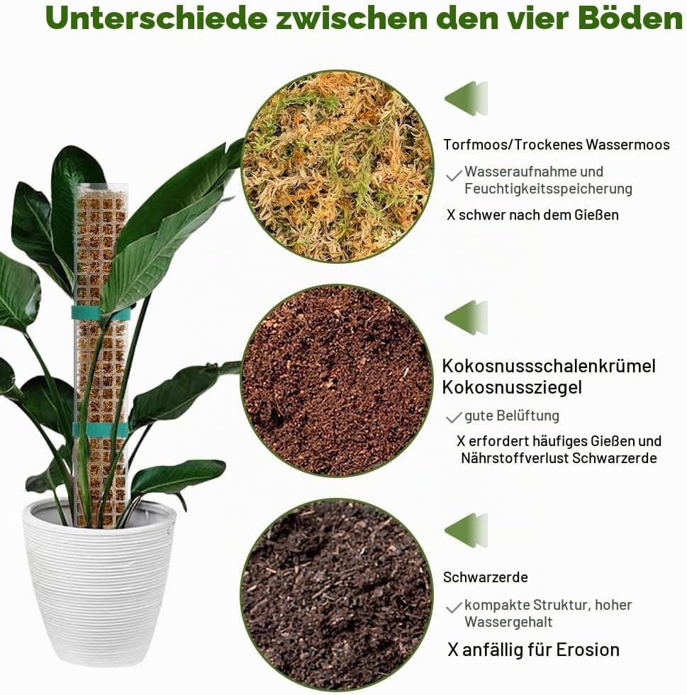 Vicloon Moosstab Rankhilfe, 6 Stück Kunststoff-Moosstange 61cm Monstera Pflanzstab, Pflanzenunterstü