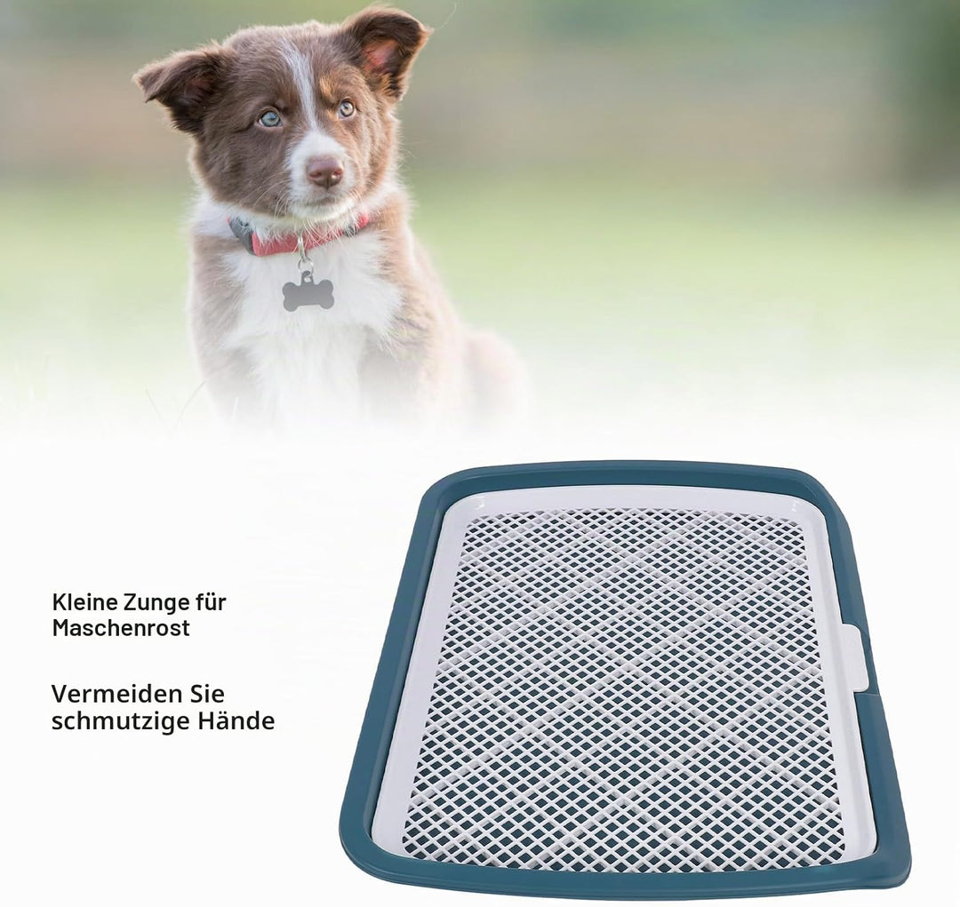 GLOGLOW Hundetoilette mit Gitter für Welpen, Abnehmbare Trainingsschale, 50 x 66 x 5 cm, Blau BLUE,