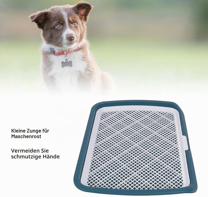 GLOGLOW Hundetoilette mit Gitter für Welpen, Abnehmbare Trainingsschale, 50 x 66 x 5 cm, Blau BLUE,