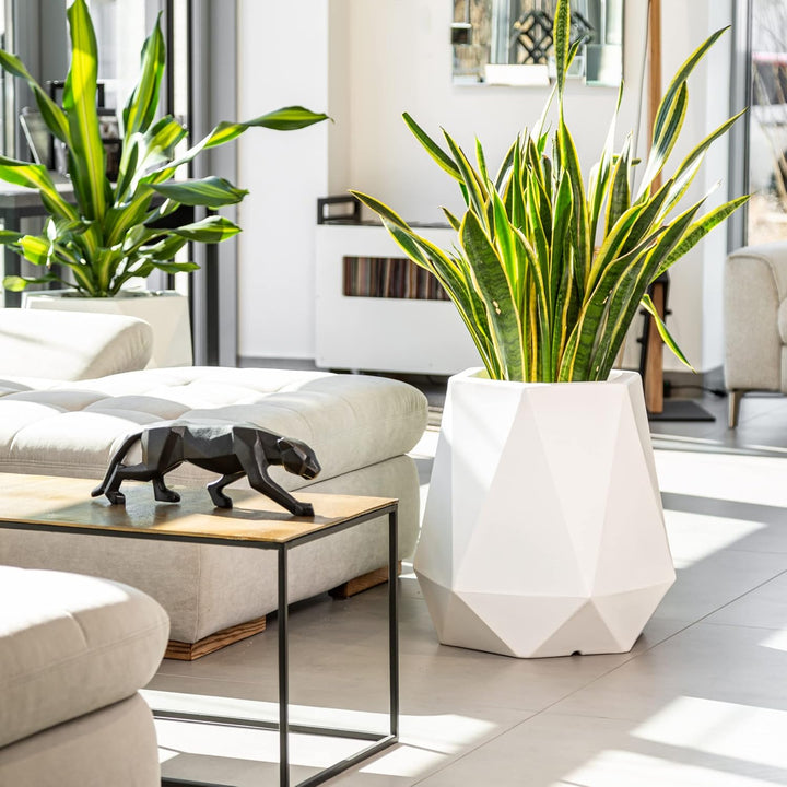 Monumo®️ Leuchtender Blumentopf Gross 54 cm x 47 cm x 47 cm | geeignet für Haus, Büro, Garten, Patio