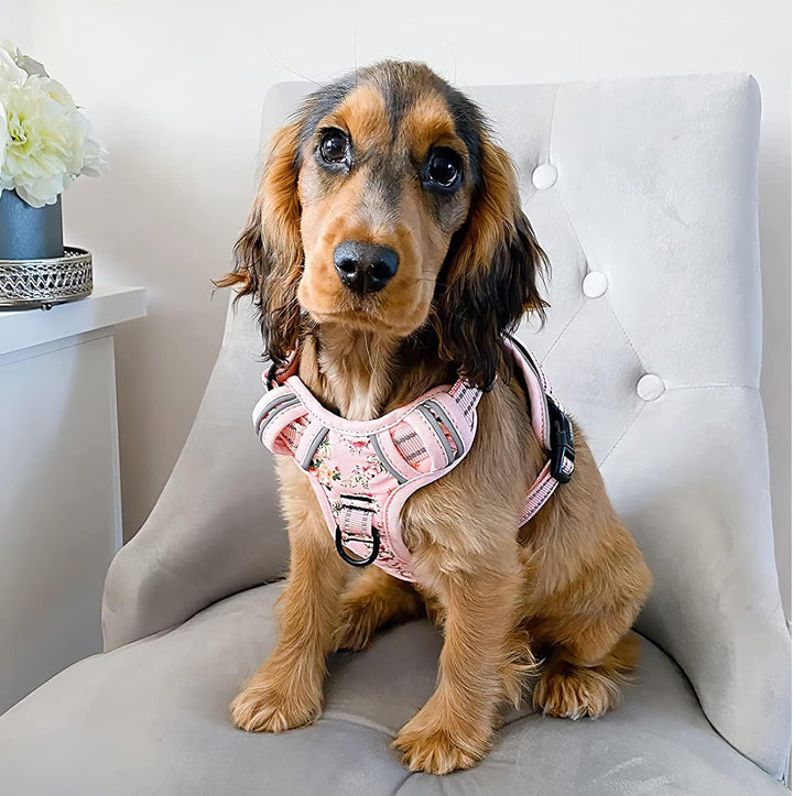 HEELE Hundegeschirr, No-Pull Hundegeschirr, Brustgeschirr für Mittelgrosse Hunde, Weich Atmungsaktiv