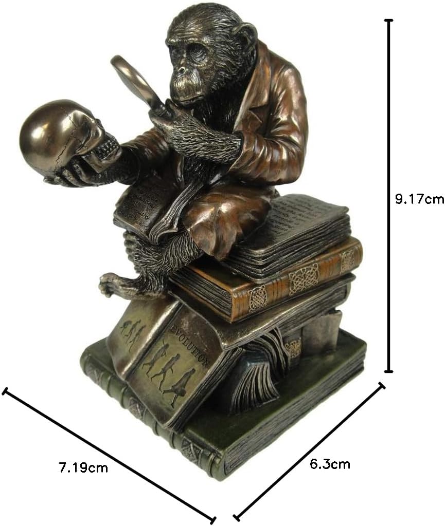 Nemesis Now Darwinism of Evolutionary Theory Box, Bronze, Harz, 17,5 cm