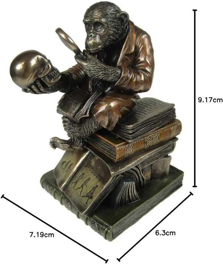 Nemesis Now Darwinism of Evolutionary Theory Box, Bronze, Harz, 17,5 cm