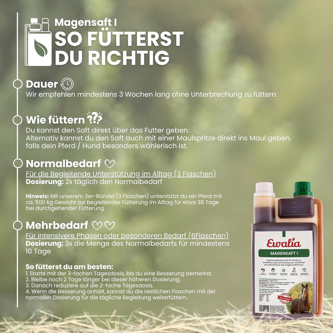 Ewalia Magensaft I für Pferde- Doppelpack - 2 x 1 L 2er Pack, 2er Pack