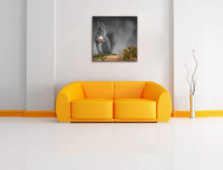 Pixxprint süsses Eichhörnchen mit Nuss als Leinwandbild/Grösse: 70x70 cm/Wandbild/Kunstdruck/fertig