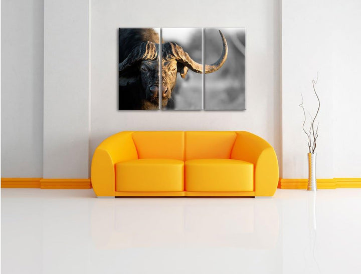 Pixxprint Kaffernbüffel mit kräftigen Hörnern B&W Detail 3-Teiler Leinwandbild 120x80 Bild auf Leinw