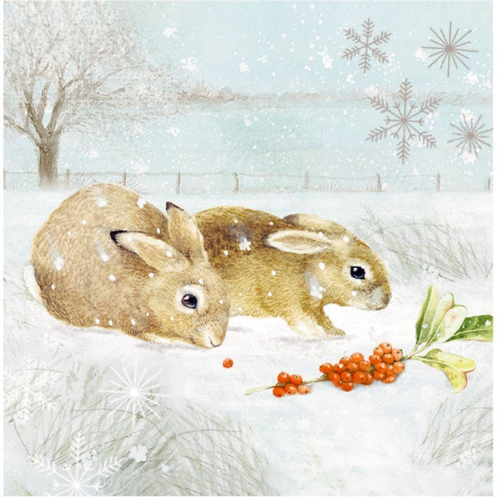 Wandkalender: Wintermorgen mit Rotkehlchen