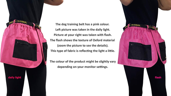 Dingo Trainingsgürtel, Sport, Agility, Apportieren, Gehorsam, Leinenführung, Nasenarbeit, Verhaltens