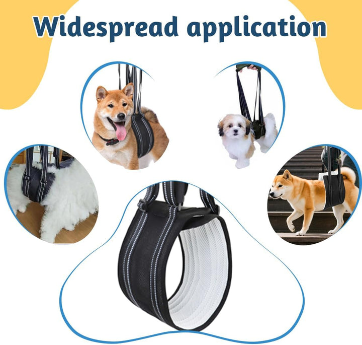 1 Stück Geeignet für Kleine Hunde Hunde Tragehilfe,Für die Unterstützung Von Behinderte Hunde und Äl