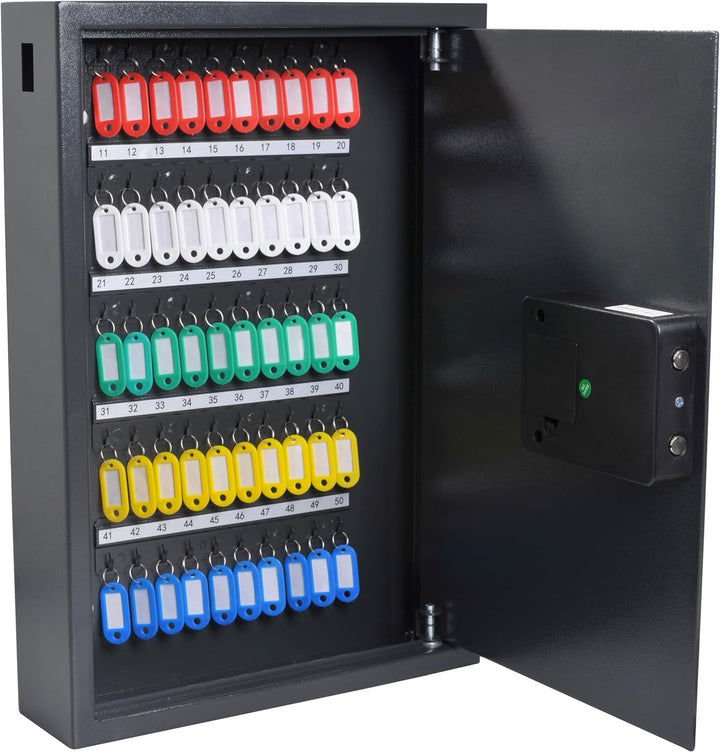Pavo 8033911 Schlüssel-Kasten/Schrank/Tresor, High security mit elektronische Sicherung, 50 Haken mi