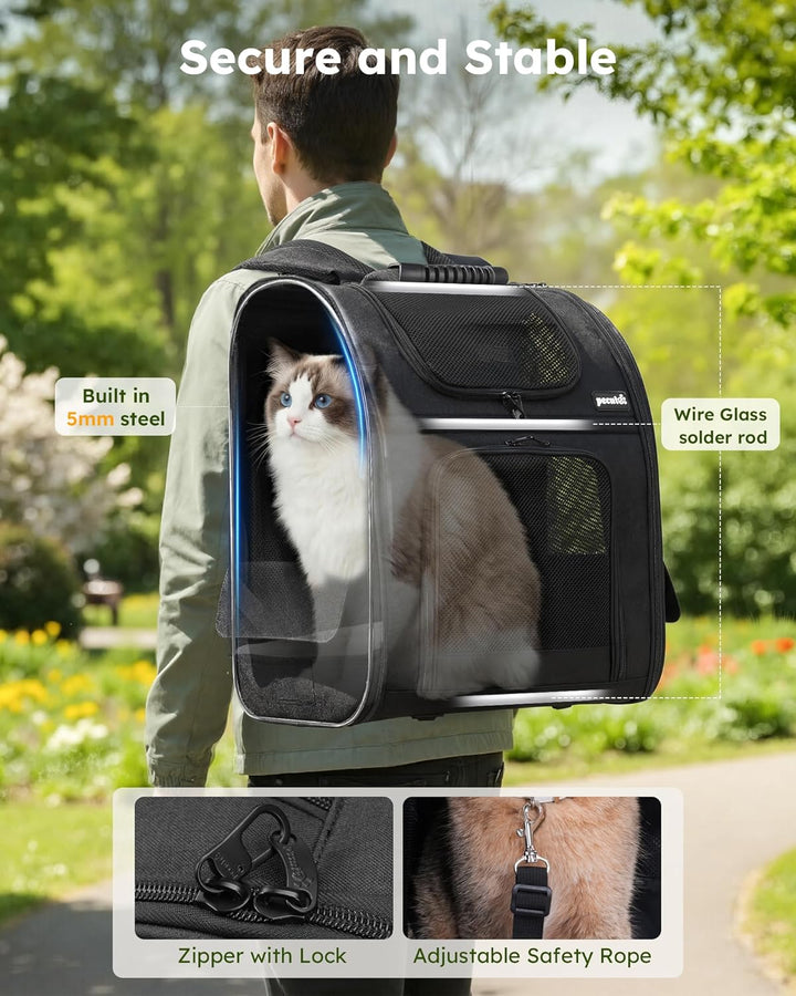 pecute Hunderucksack Erweiterbar XL für 6-10 kg, Faltbar Katzenrucksack Katzen mit Anti-offener Reis