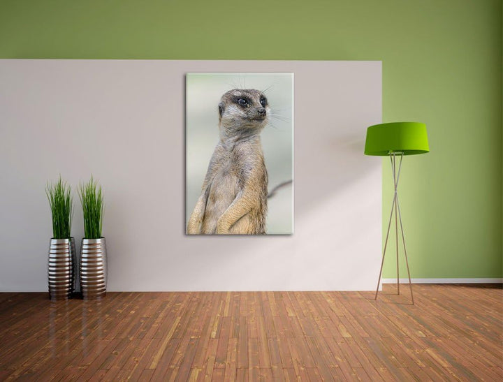 Pixxprint aufmerksames Erdmännchen auf Leinwand, XXL riesige Bilder fertig gerahmt mit Keilrahmen, K