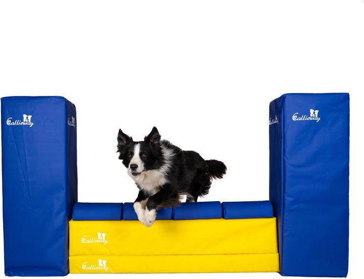 Callieway Turnier Agility Mauer „Bounce Over - Soft“ – alle FCI Sprunghöhen (gelb/blau), gelb/blau