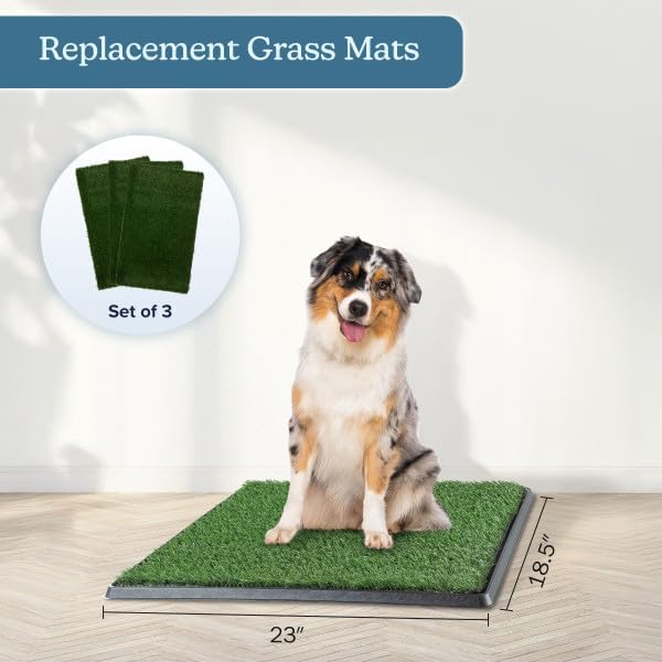PETMAKER Kunstrasen-Badematte für Welpen und kleine Haustiere, tragbarer Toilettentrainer für drinne